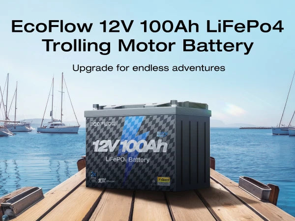 ECOFLOW 12V 100Ah LiFePO4 Battery, Built-In 100A BMS Group 27 - Renewable Depot