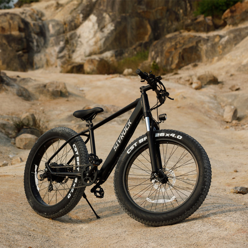 Electric Bike - 26" x 4.0" Fat Tire Electric Mountain Bicycle - US