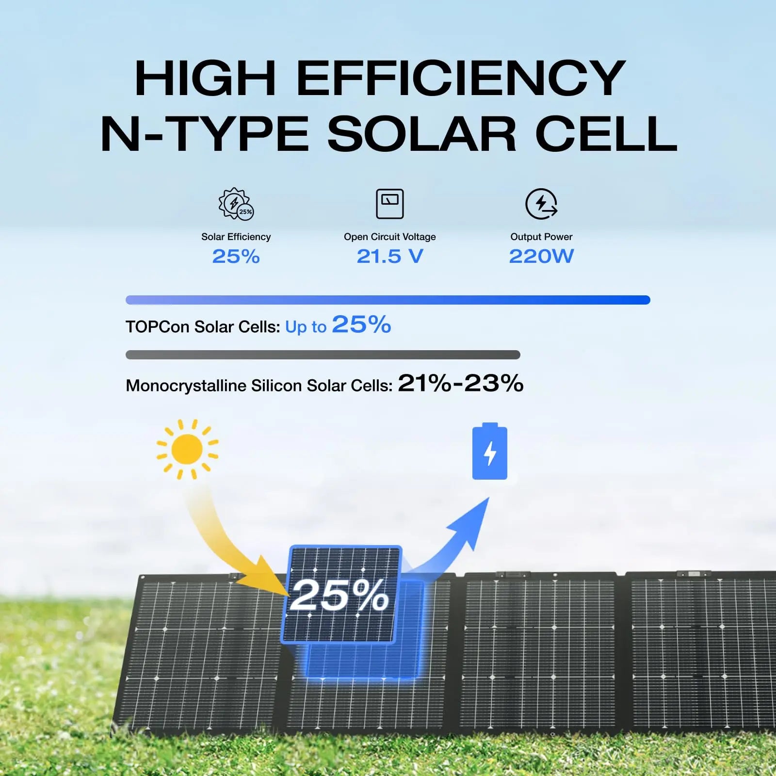 ECOFLOW Portable Solar Panel with Carry Case - Renewable Depot