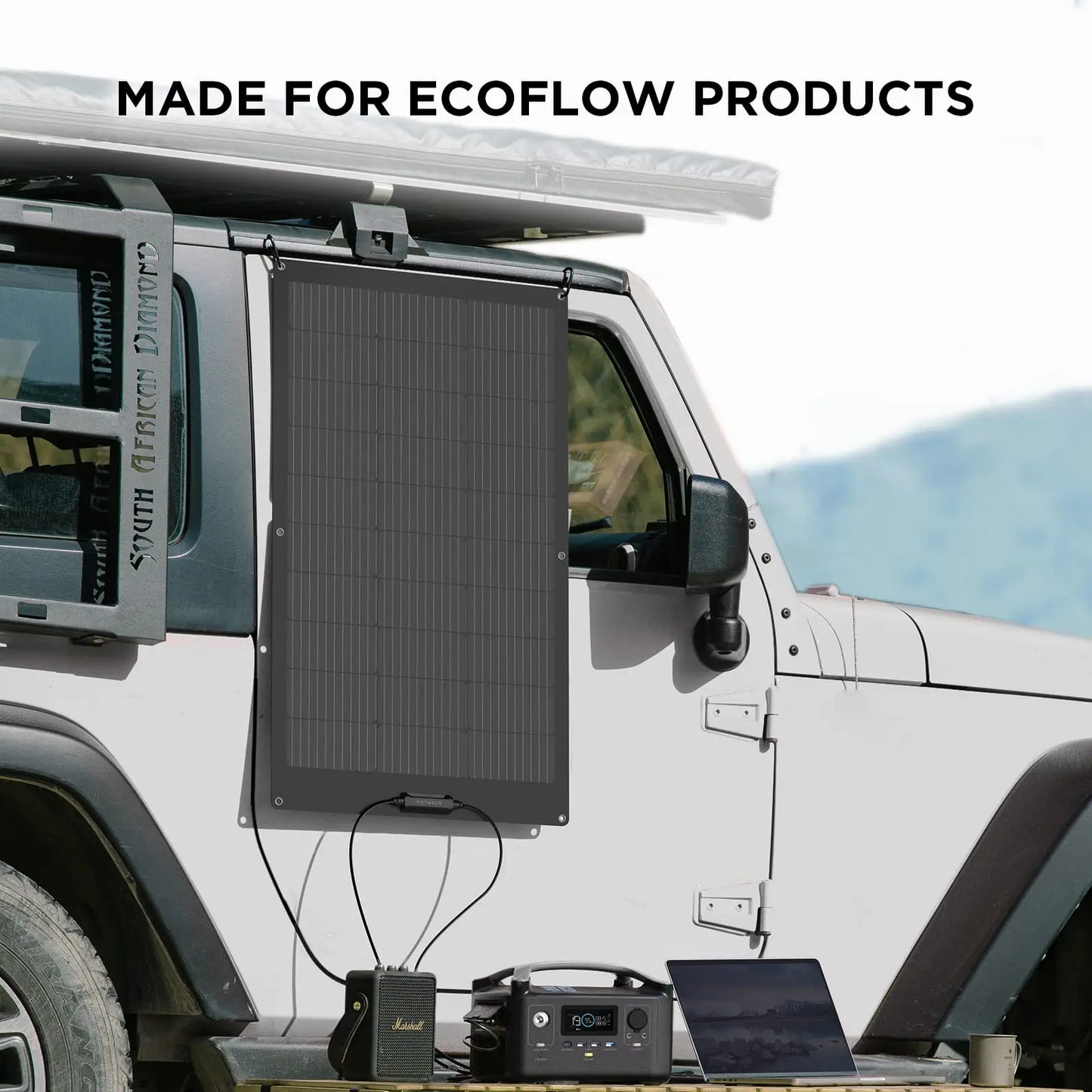 ECOFLOW 100W 12V Solar Panels, High Efficiency Monocrystalline PV Modules, IP68 Waterproofing - Renewable Depot