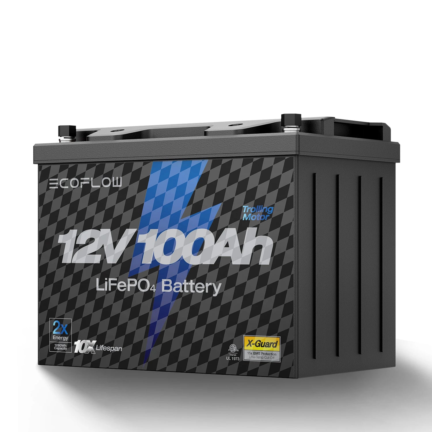 ECOFLOW 12V 100Ah LiFePO4 Battery, Built-In 100A BMS Group 27 - Renewable Depot