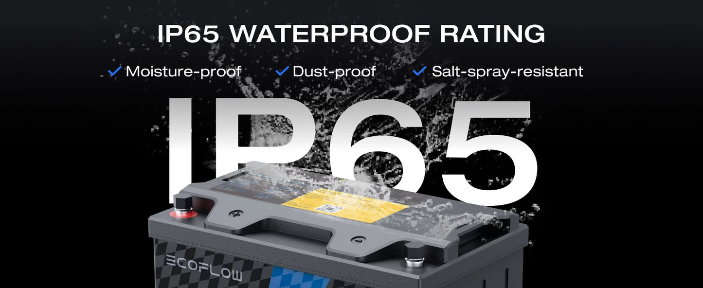ECOFLOW 12V 100Ah LiFePO4 Battery - Built-In 100A BMS - Renewable Depot
