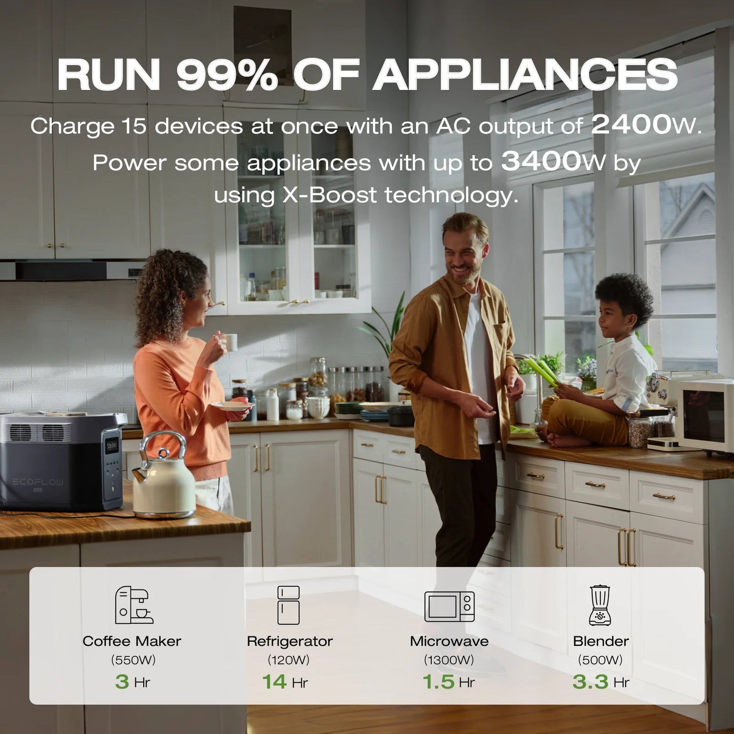 ECOFLOW Portable Power Station DELTA 2 - US