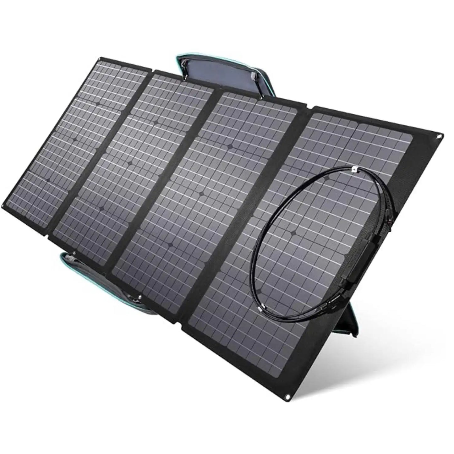 ECOFLOW Portable Solar Panel with Carry Case - Renewable Depot